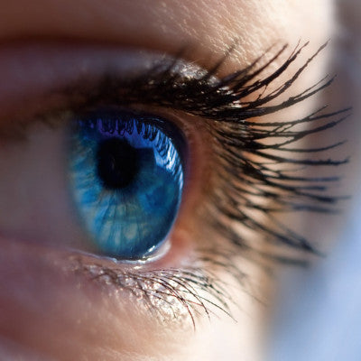 Das Auge: Ein High-Tech-Organ unter Dauerbeschuss