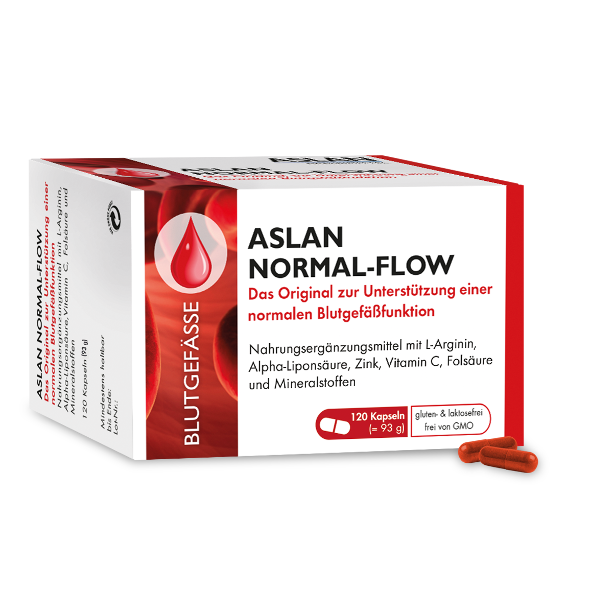 ASLAN Normal-FLow