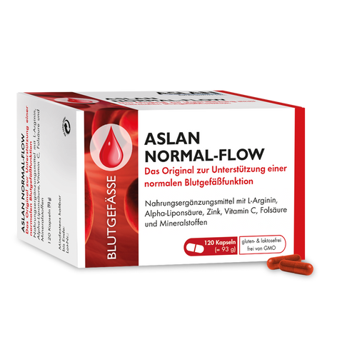 ASLAN Normal-FLow