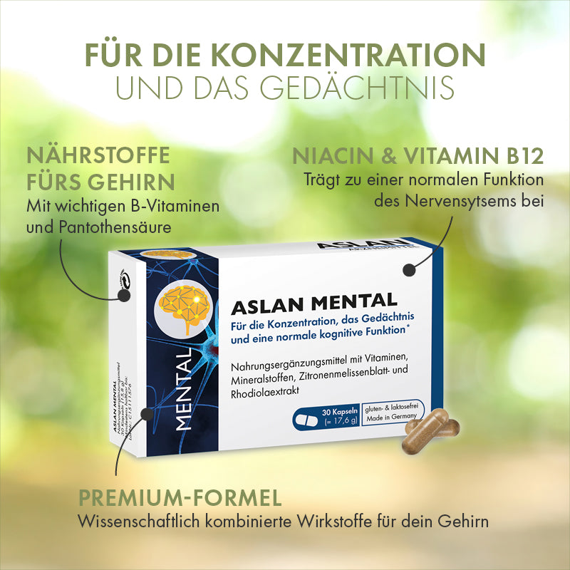 Die Vorteile von ASLAN Mental